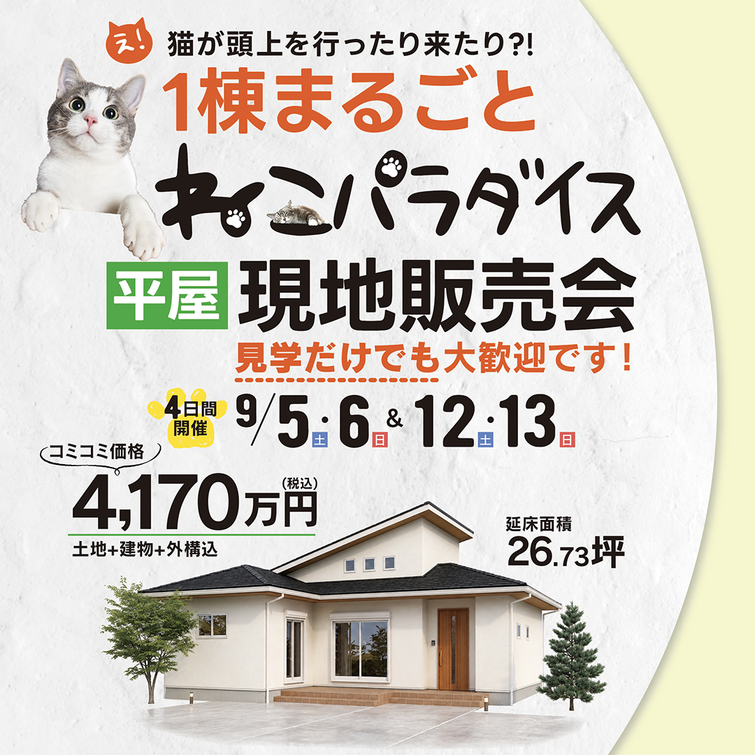 イベントの詳細はこちら